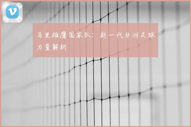 马里雄鹰国家队：新一代非洲足球力量解析